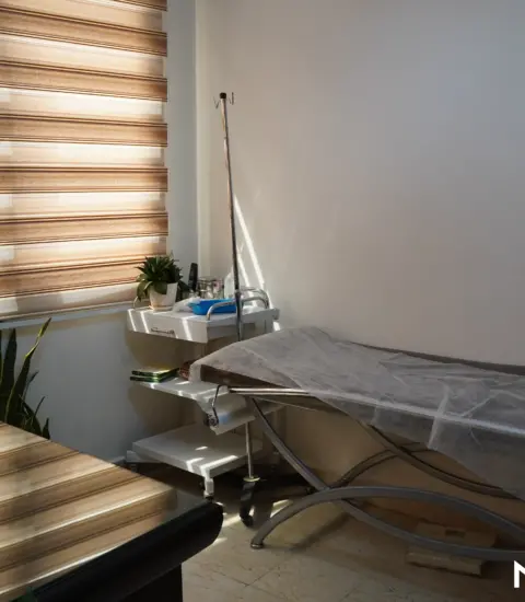 Mrs.Shima Hamidi Raad 2