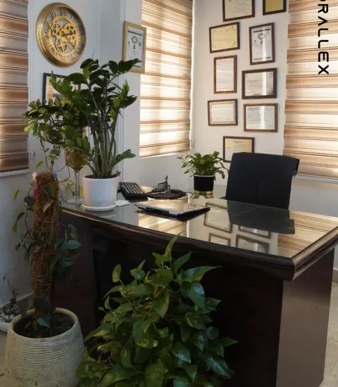 Mrs.Shima Hamidi Raad 4