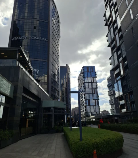 Dr.Naser DadashZadeh 2