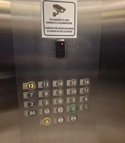 Dr.Naser DadashZadeh 3