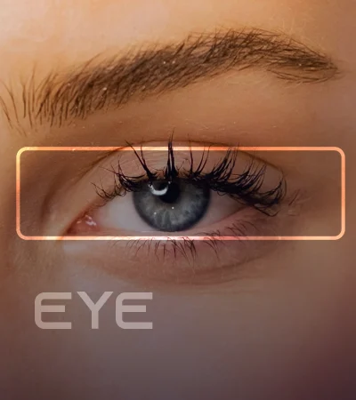 Eyes MORALLEX
