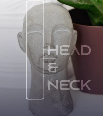 Head And Neck MORALLEX